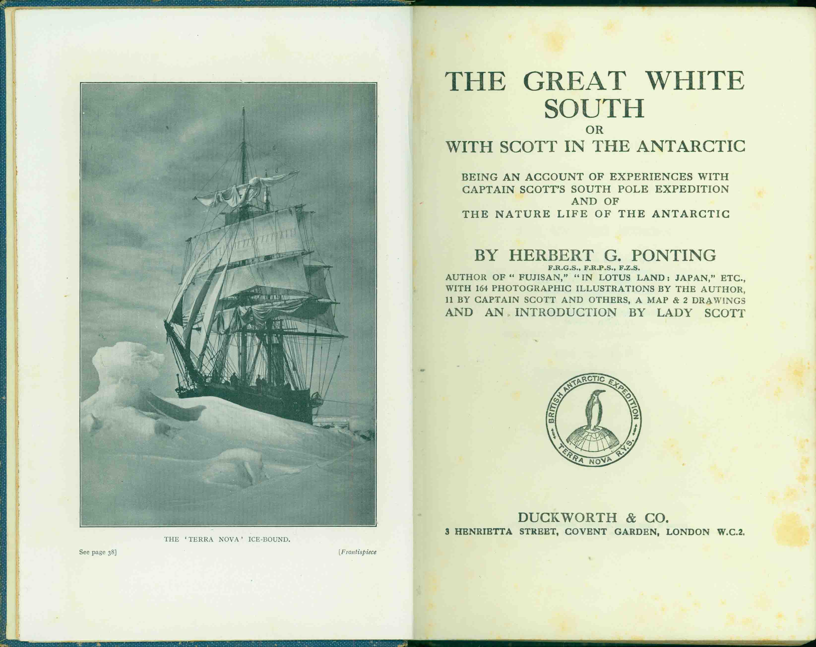 THE GREAT WHITE SOUTH