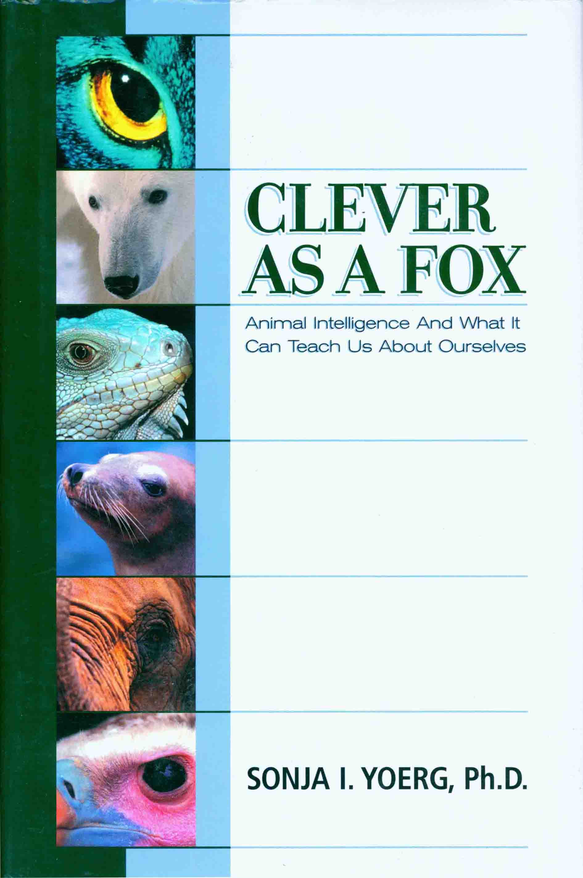 clever-as-a-fox