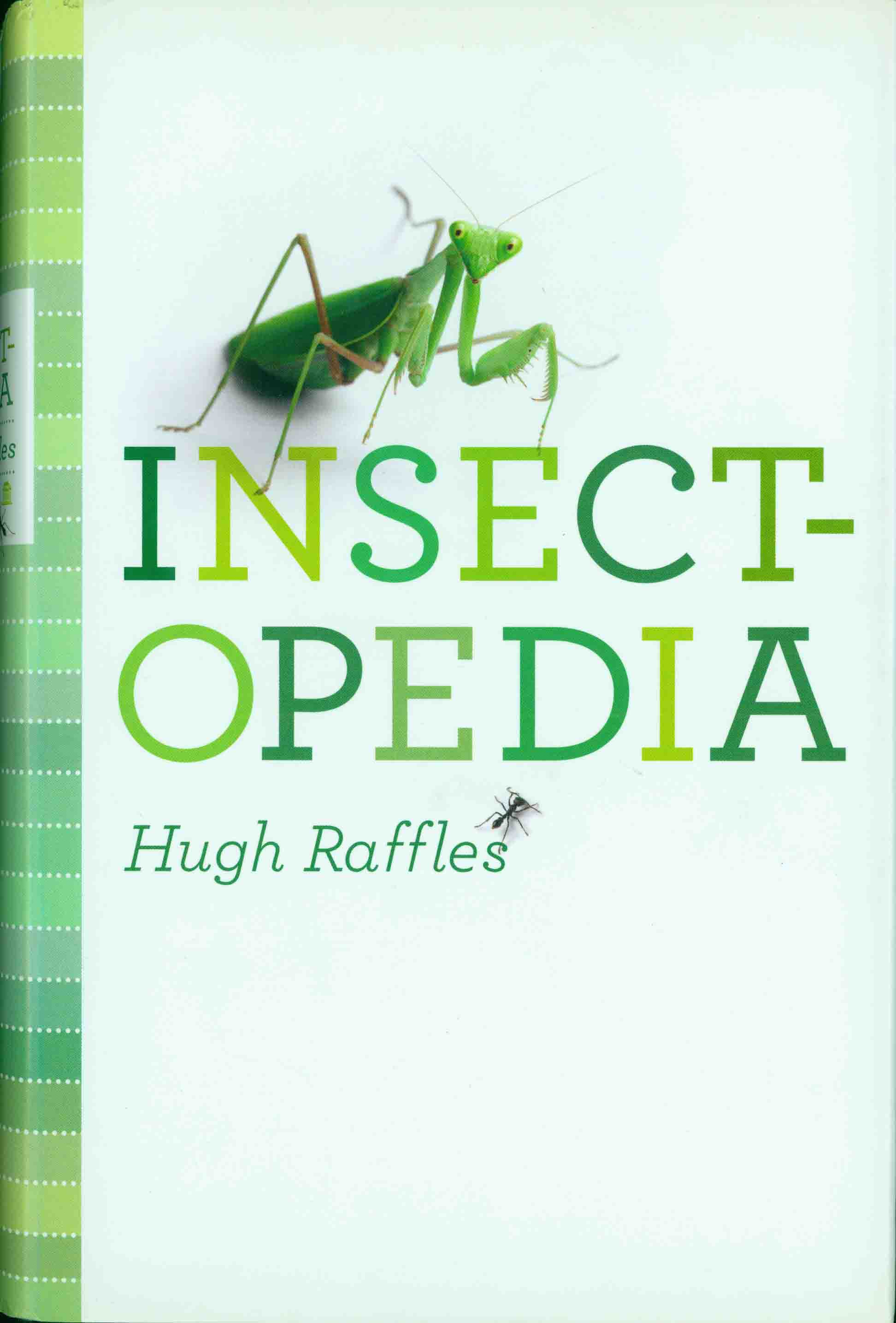 INSECTOPEDIA.