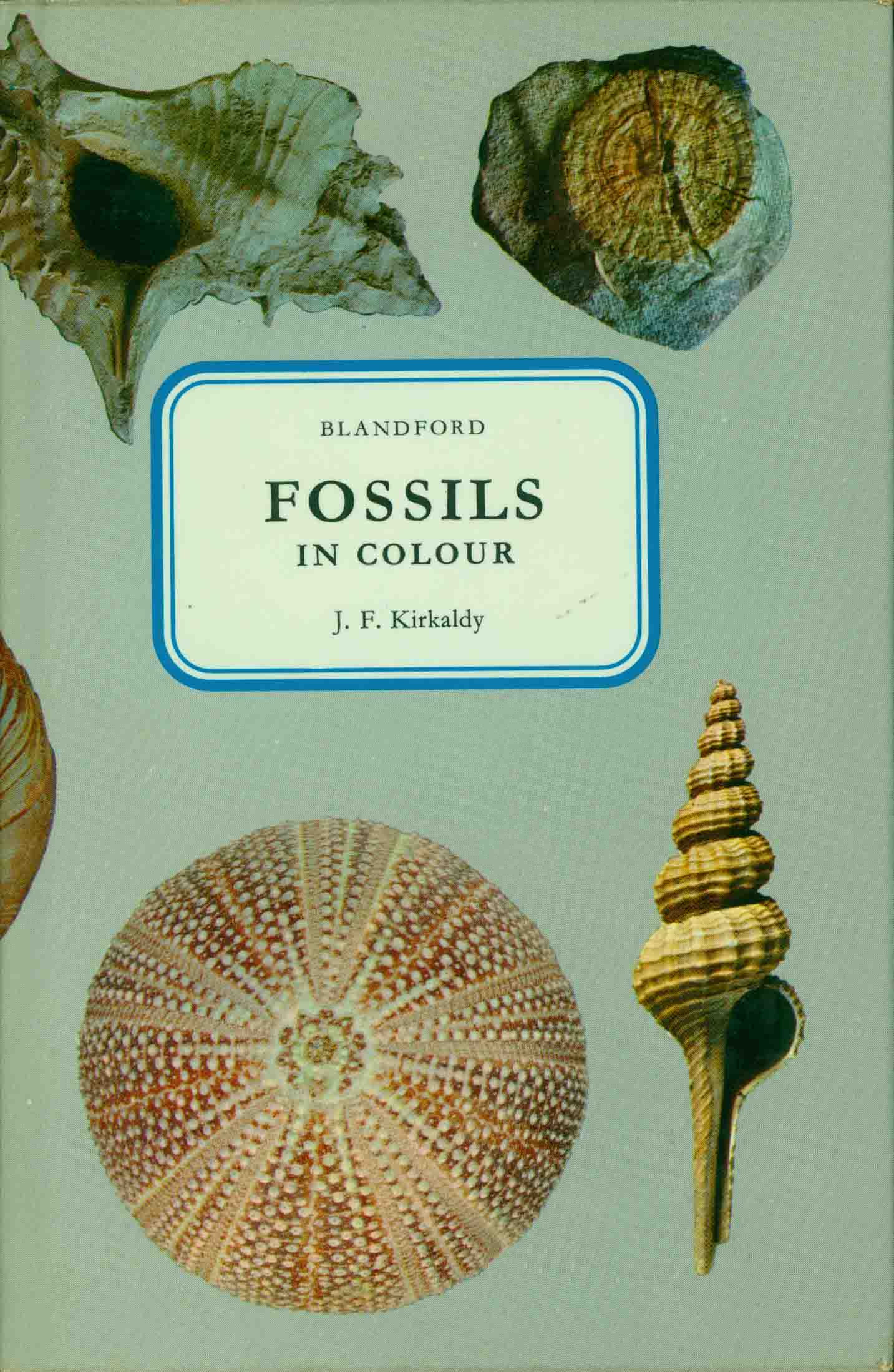FOSSILS IN COLOUR.