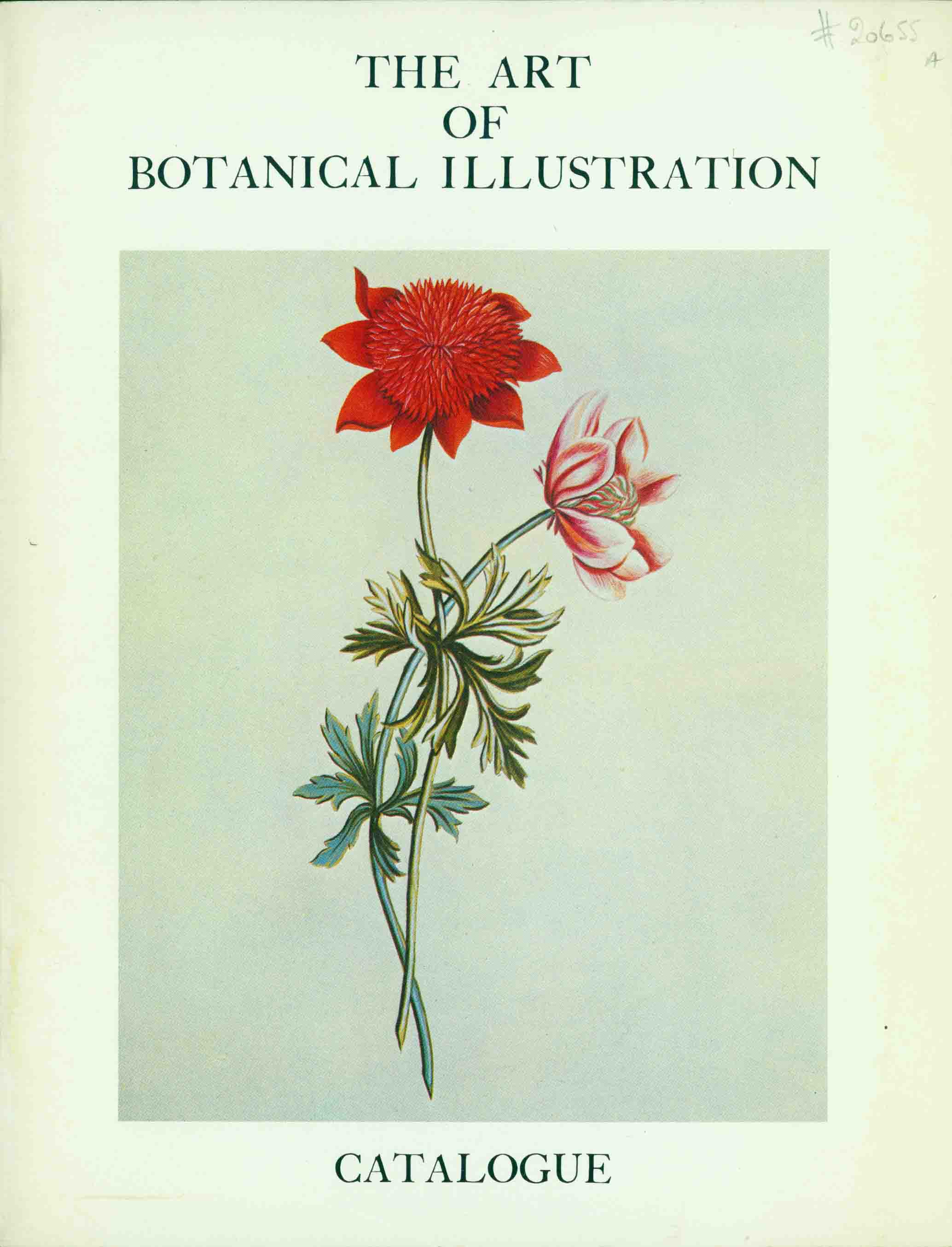THE ART OF BOTANICAL ILLUSTRATION.