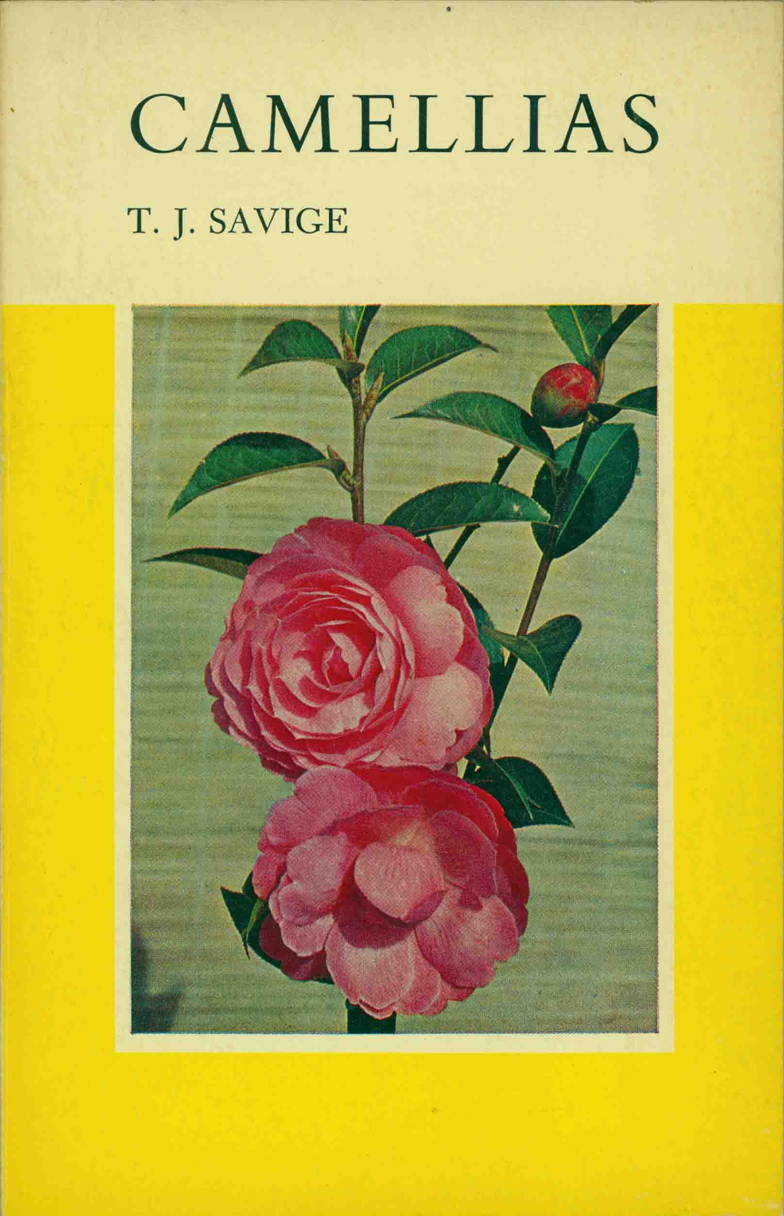 CAMELLIAS.