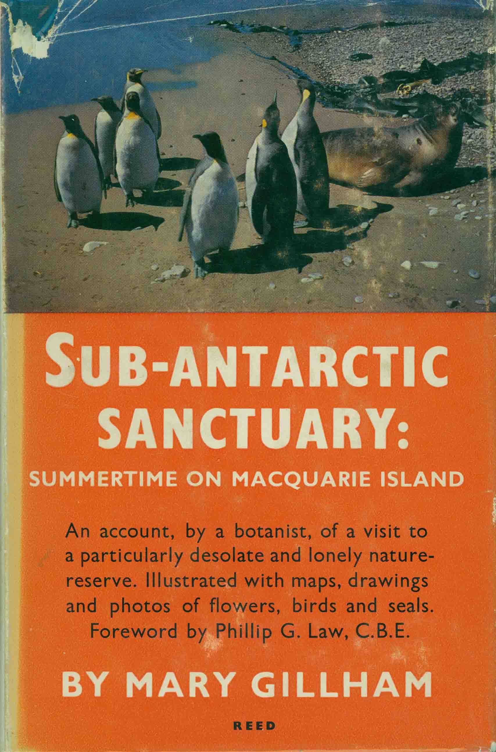 SUB-ANTARCTIC SANCTUARY.