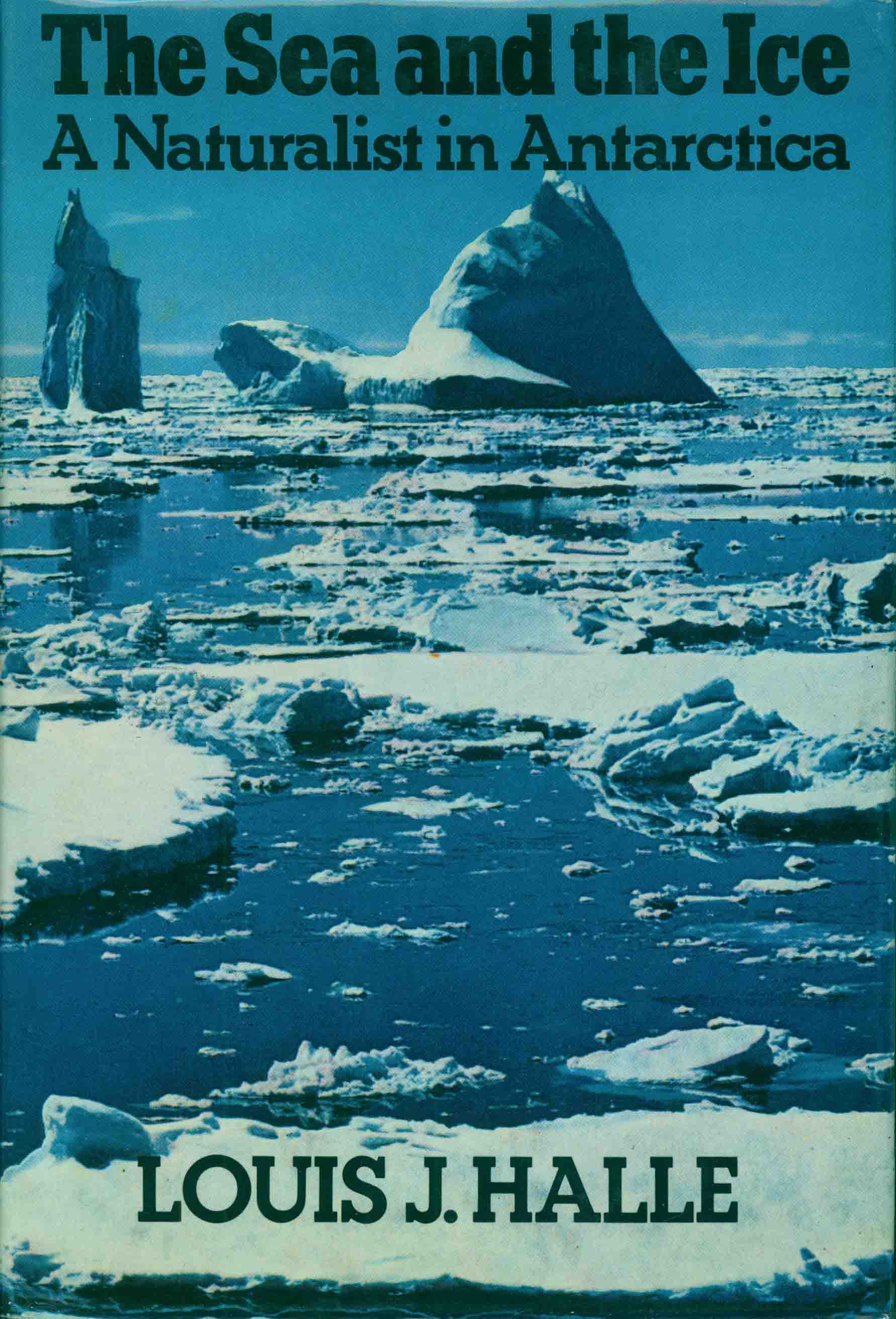 THE SEA AND THE ICE.