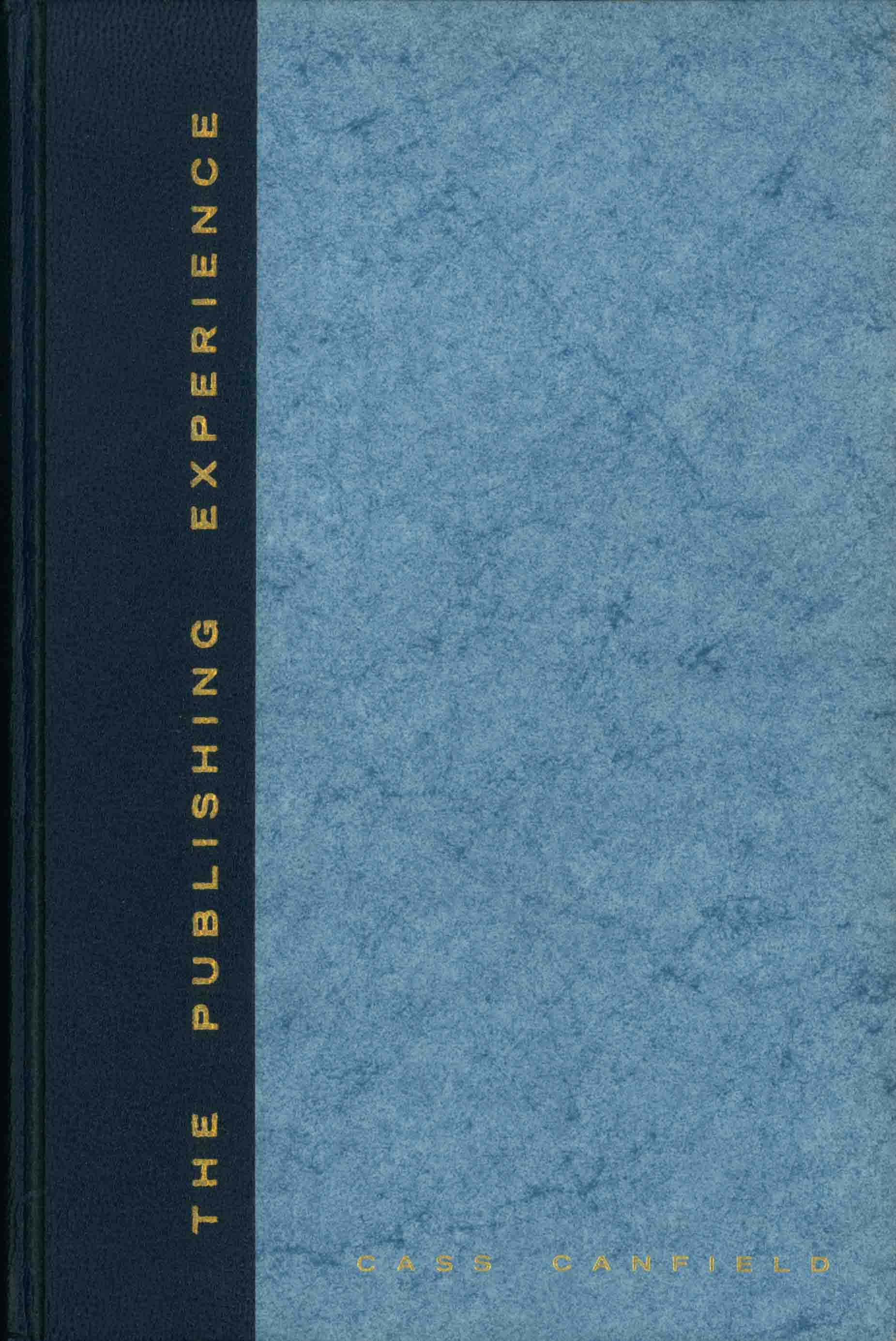 THE PUBLISHING EXPERIENCE