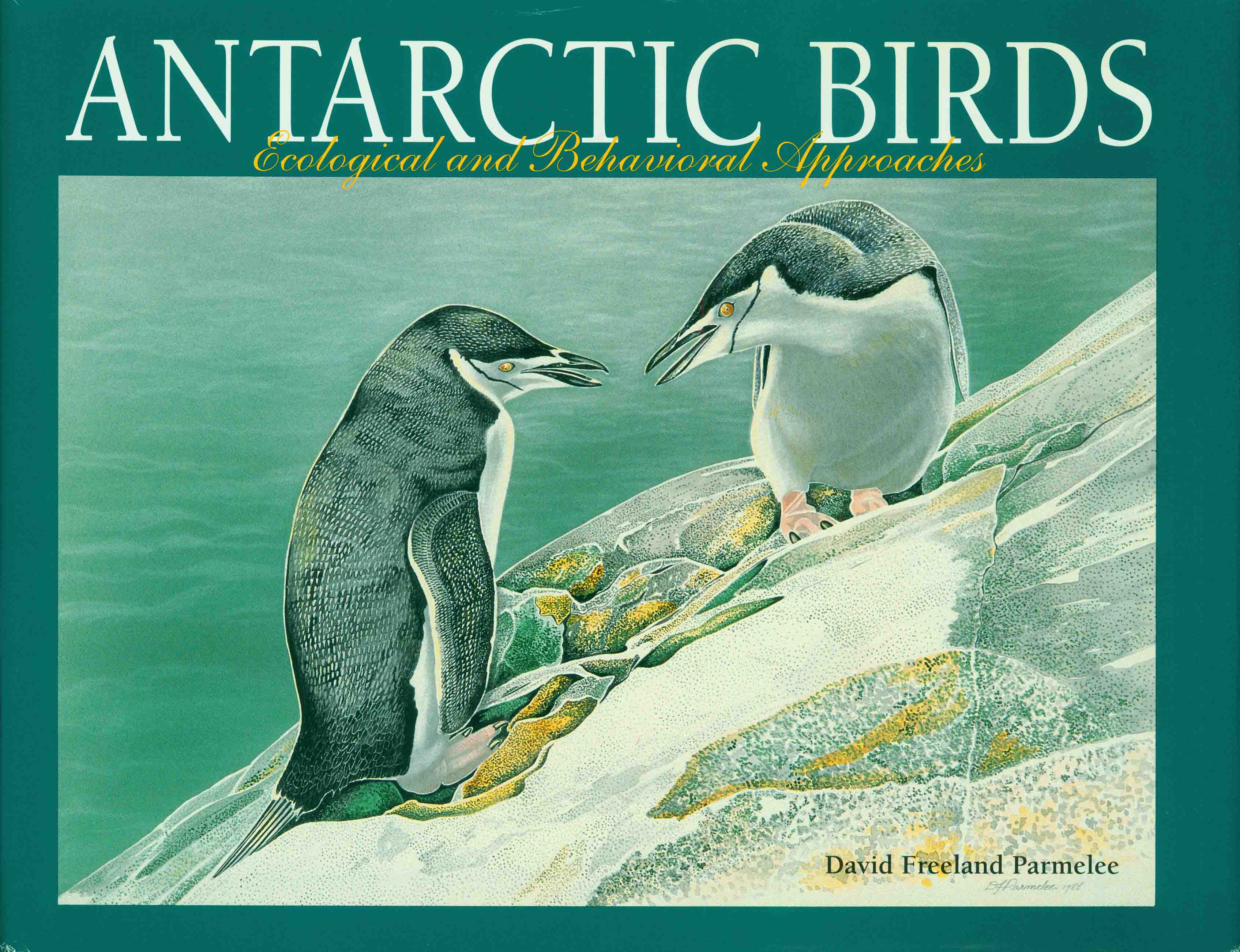 ANTARCTIC BIRDS.