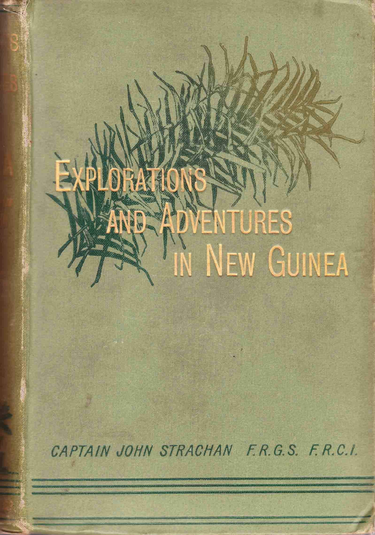 EXPLORATIONS AND ADVENTURES IN NEW GUINEA.