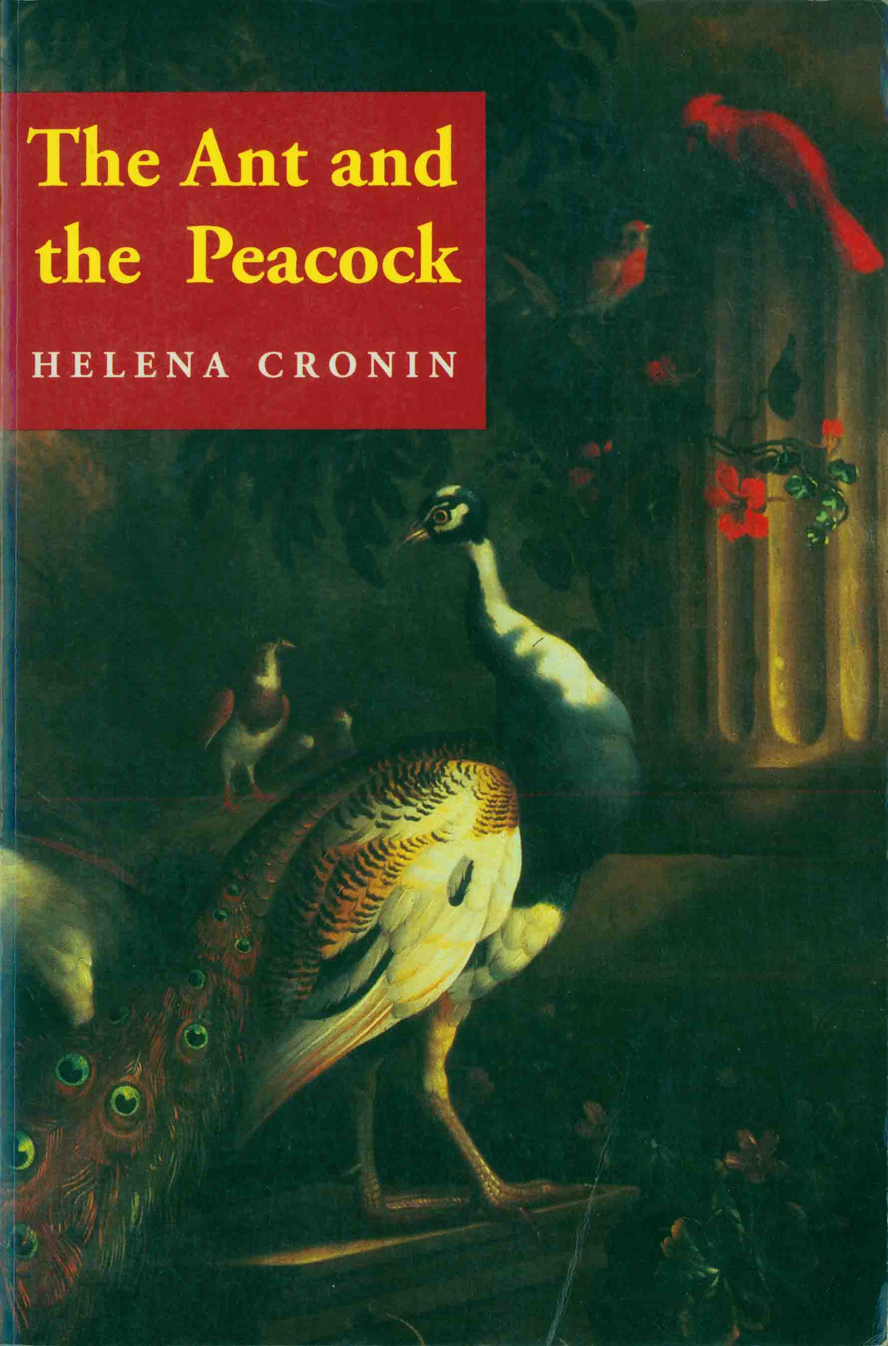 THE ANT AND THE PEACOCK.