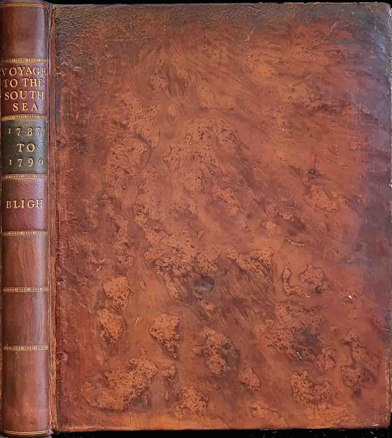 A VOYAGE TO THE SOUTH SEA,