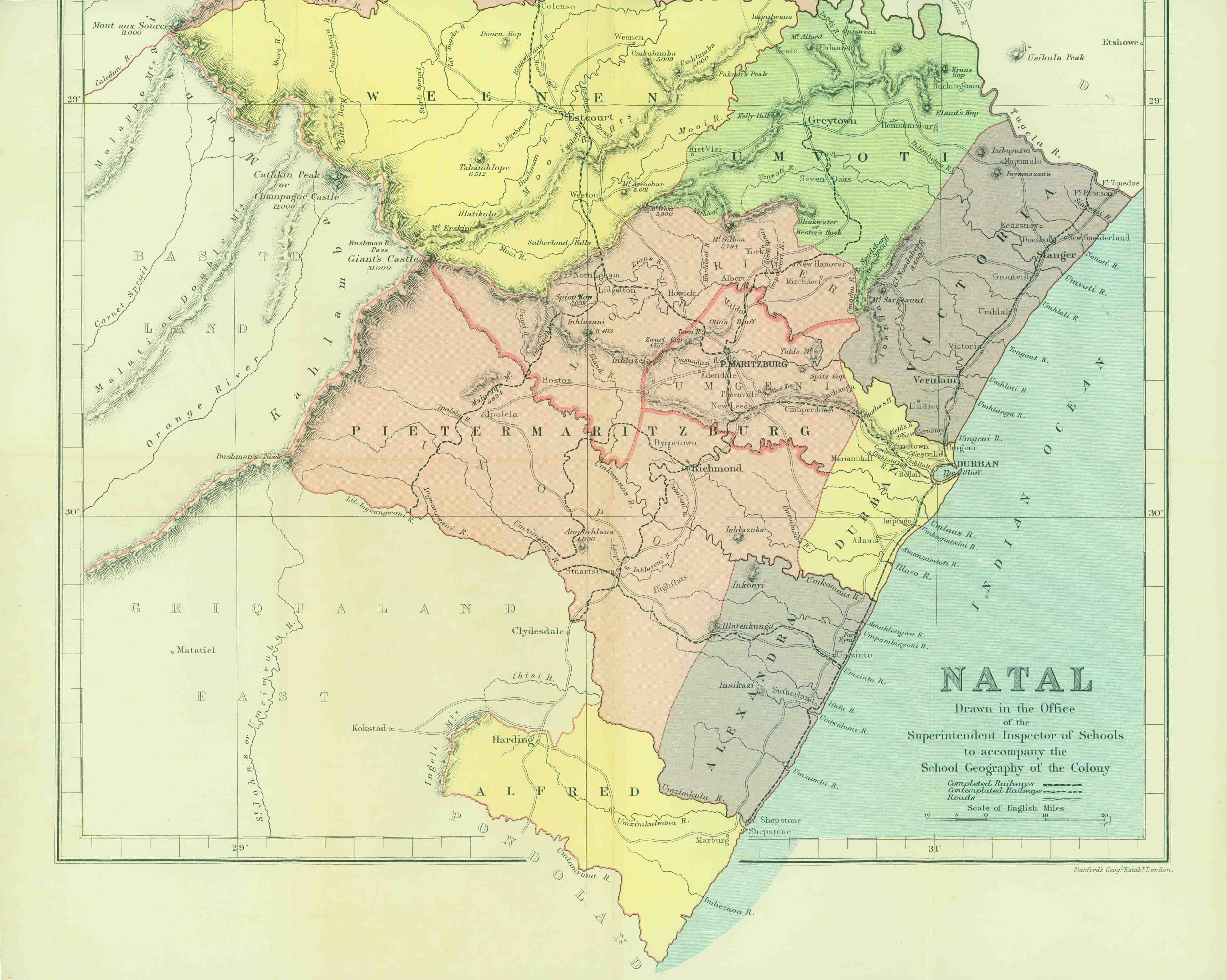 NATAL.