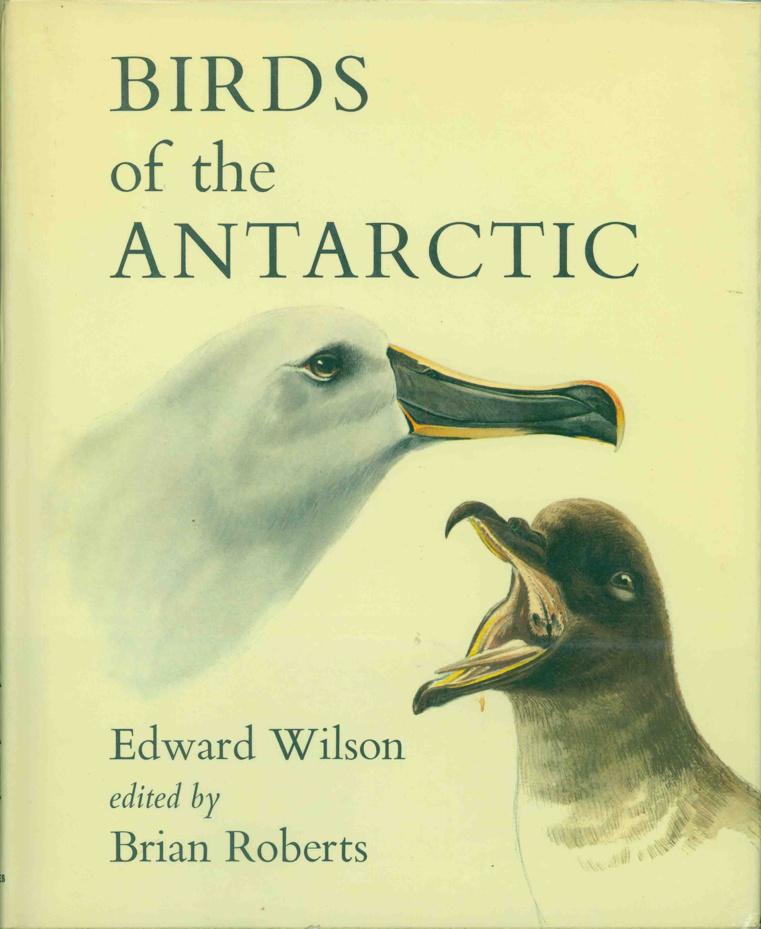 EDWARD WILSON'S BIRDS OF THE ANTARCTIC