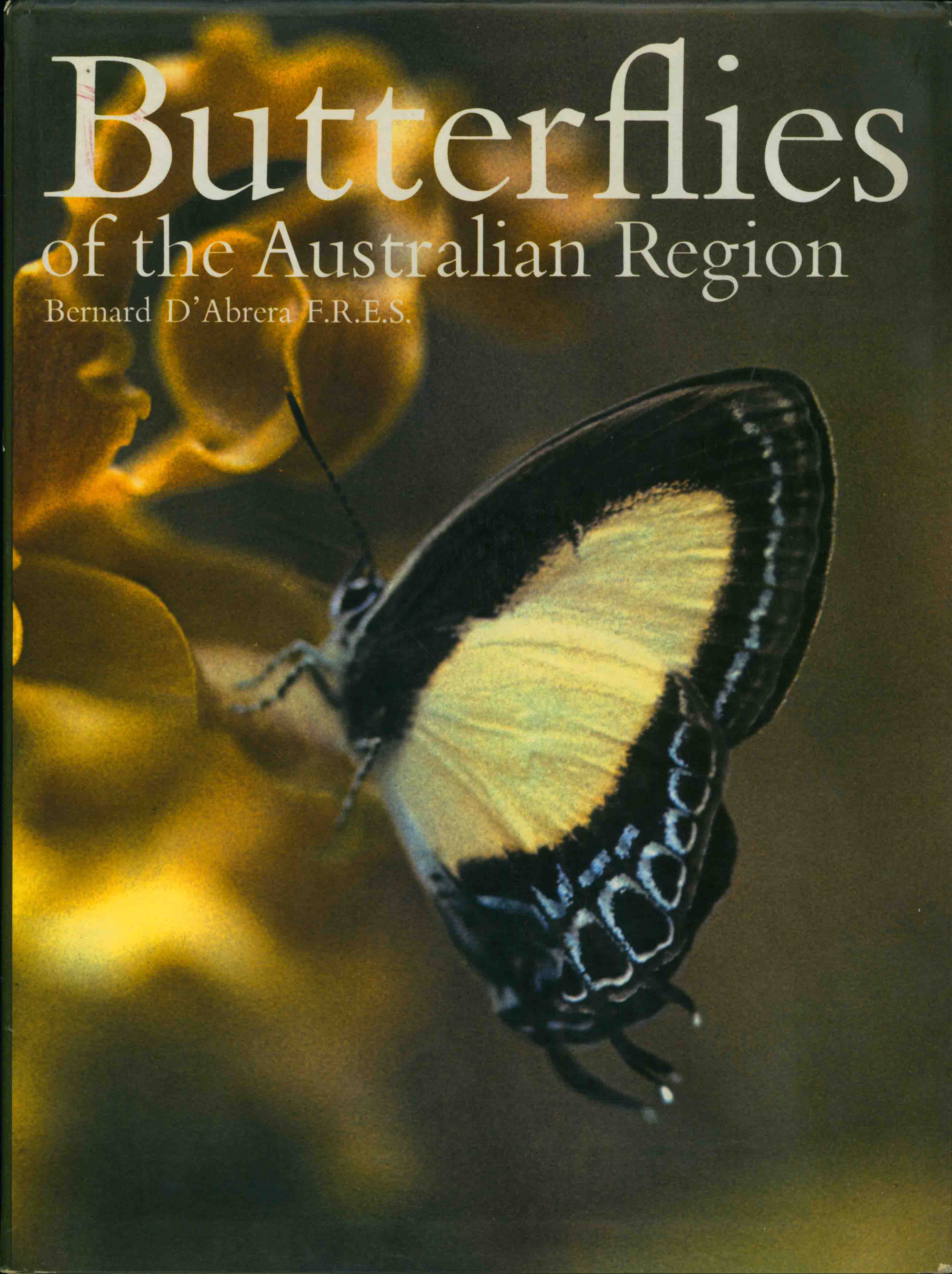 BUTTERFLIES OF THE AUSTRALIAN REGION.